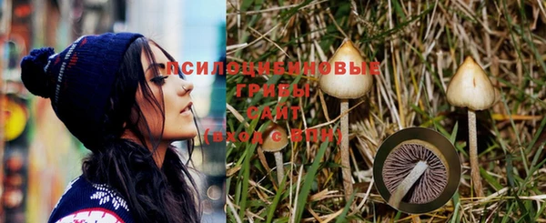 a pvp Алексеевка